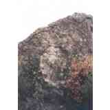 Click para ampliar. Pulsa en el nombre para ver la ficha. Piedra Escrita 13 - Fachada trasera: el oso